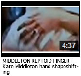 MIDDLETON REPTOID FINGER