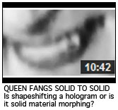 QUEEN FANGS SOLID TO SOLID